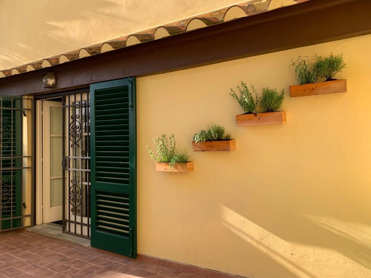 Bed and Breakfast La Terrazza Di Via Elisa Lucca Exterior foto